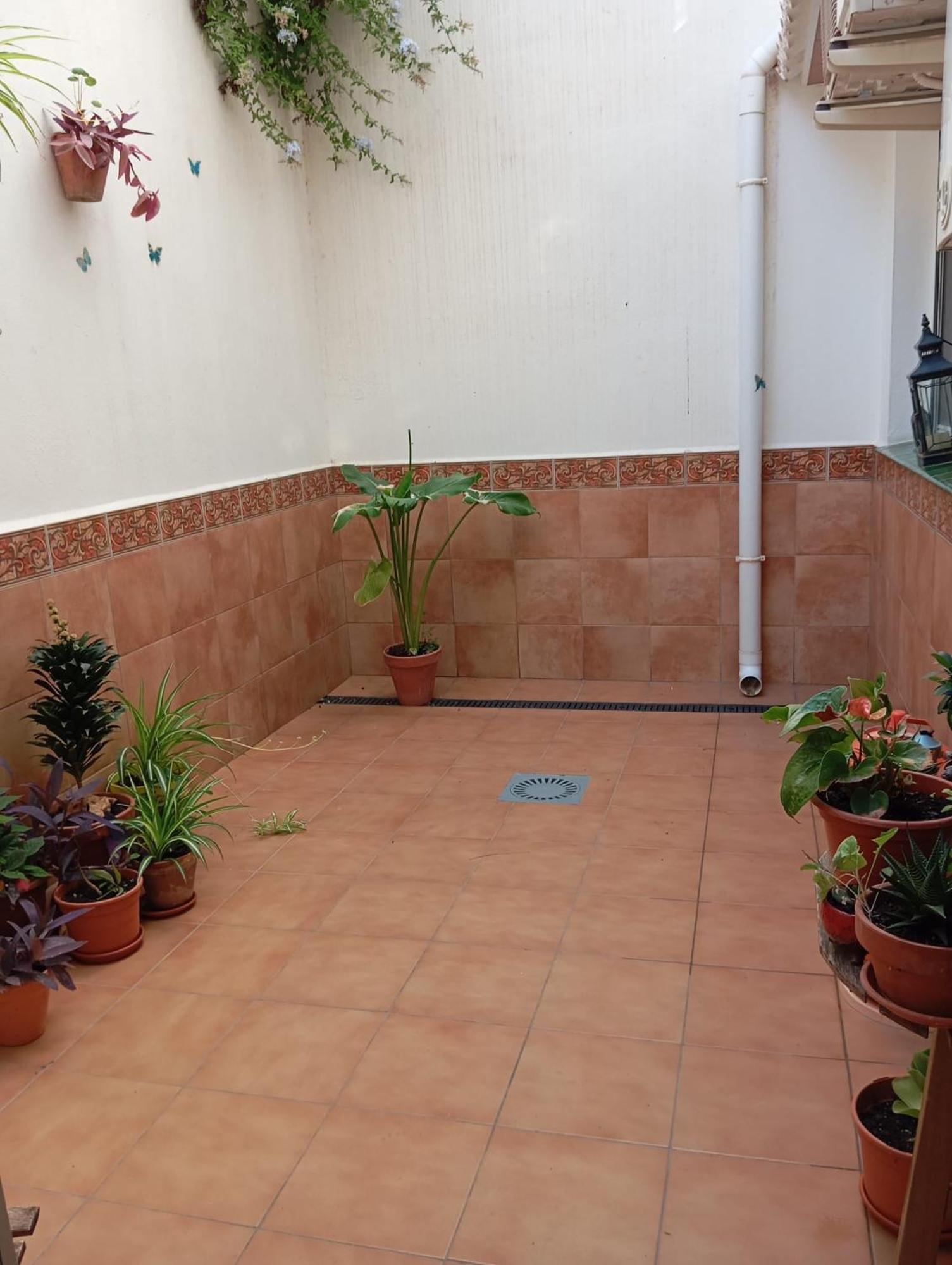 Apartamento Amapola Málaga Eksteriør billede