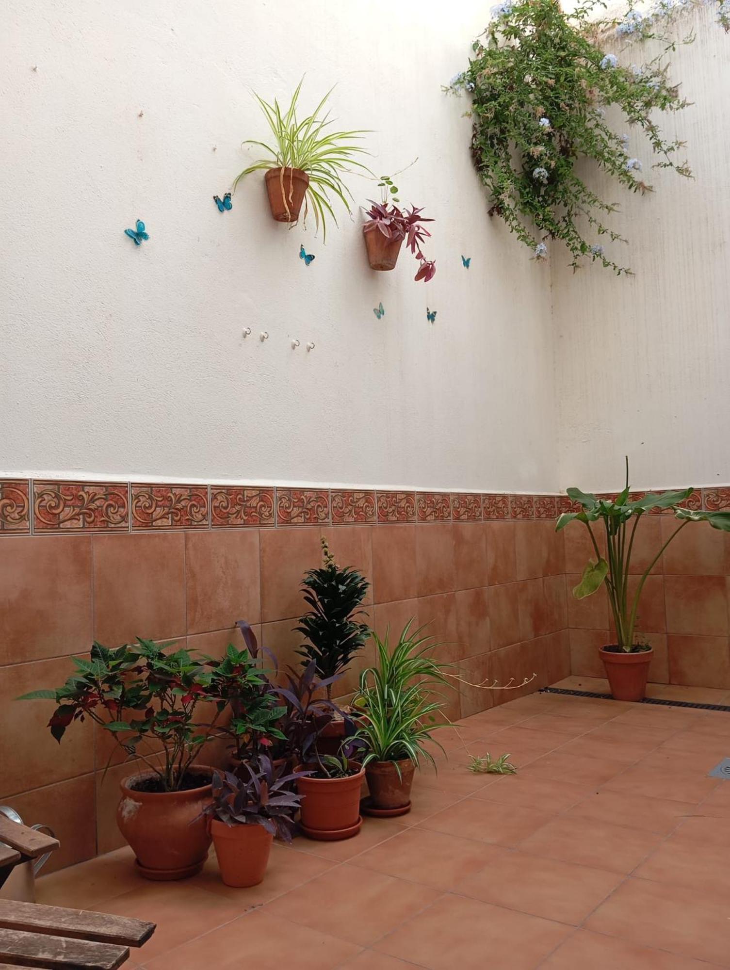 Apartamento Amapola Málaga Eksteriør billede